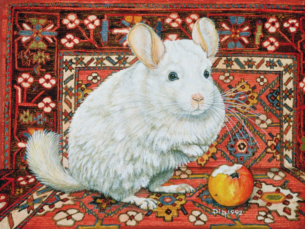 Mattan-Chinchilla, 1992 av Ditz