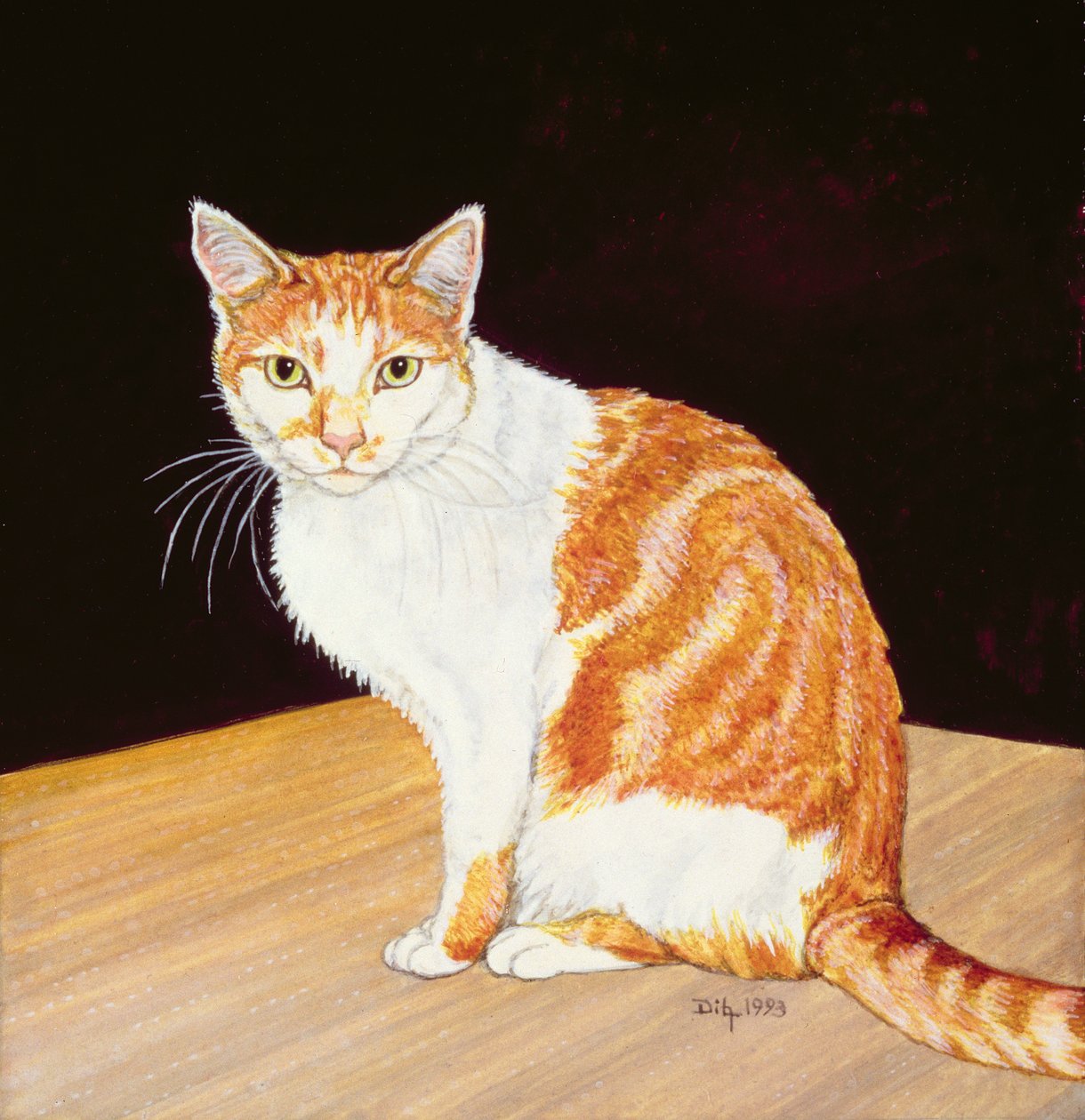 Thomas av Ditz