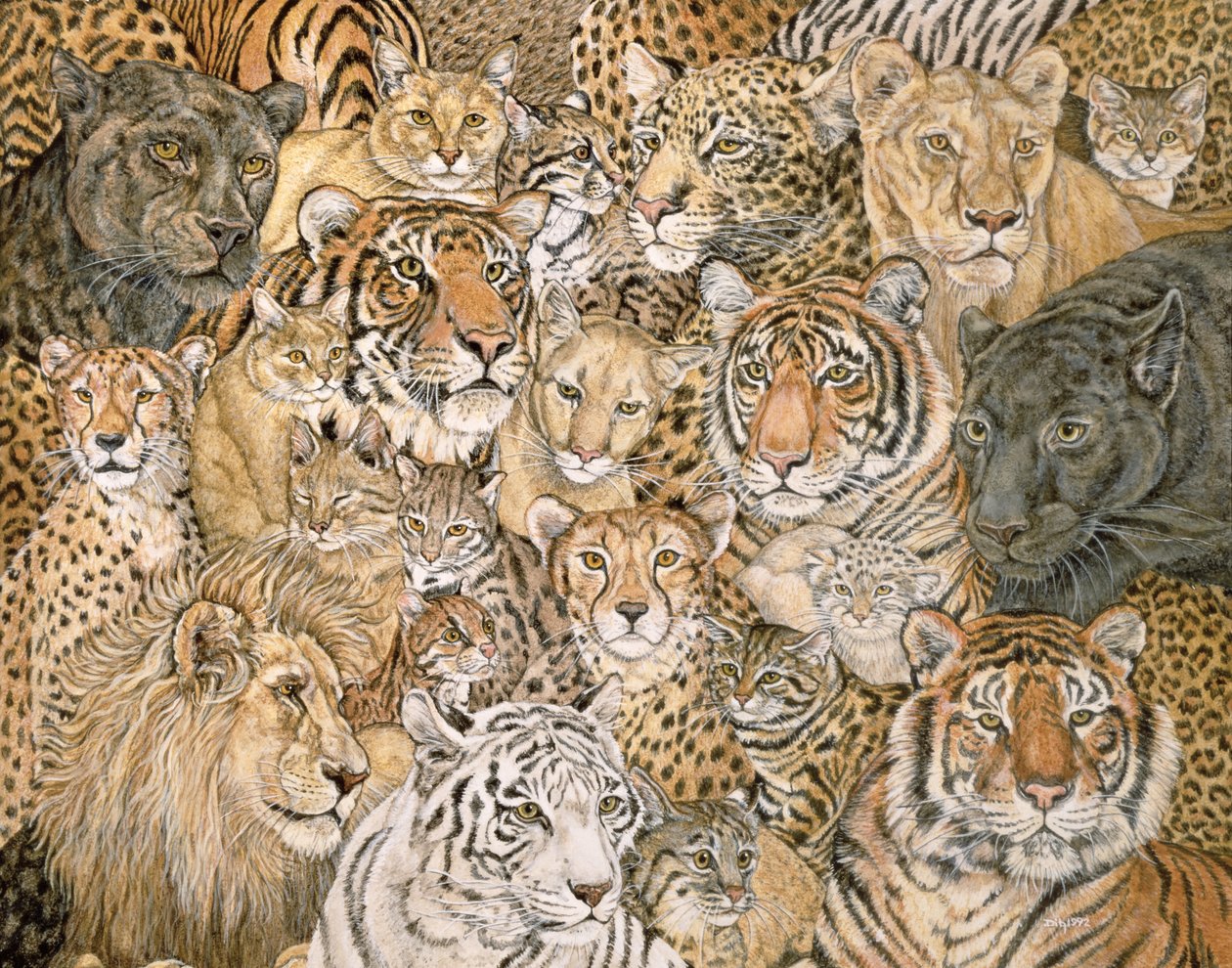 Wild Cat-Spread, 1992 av Ditz