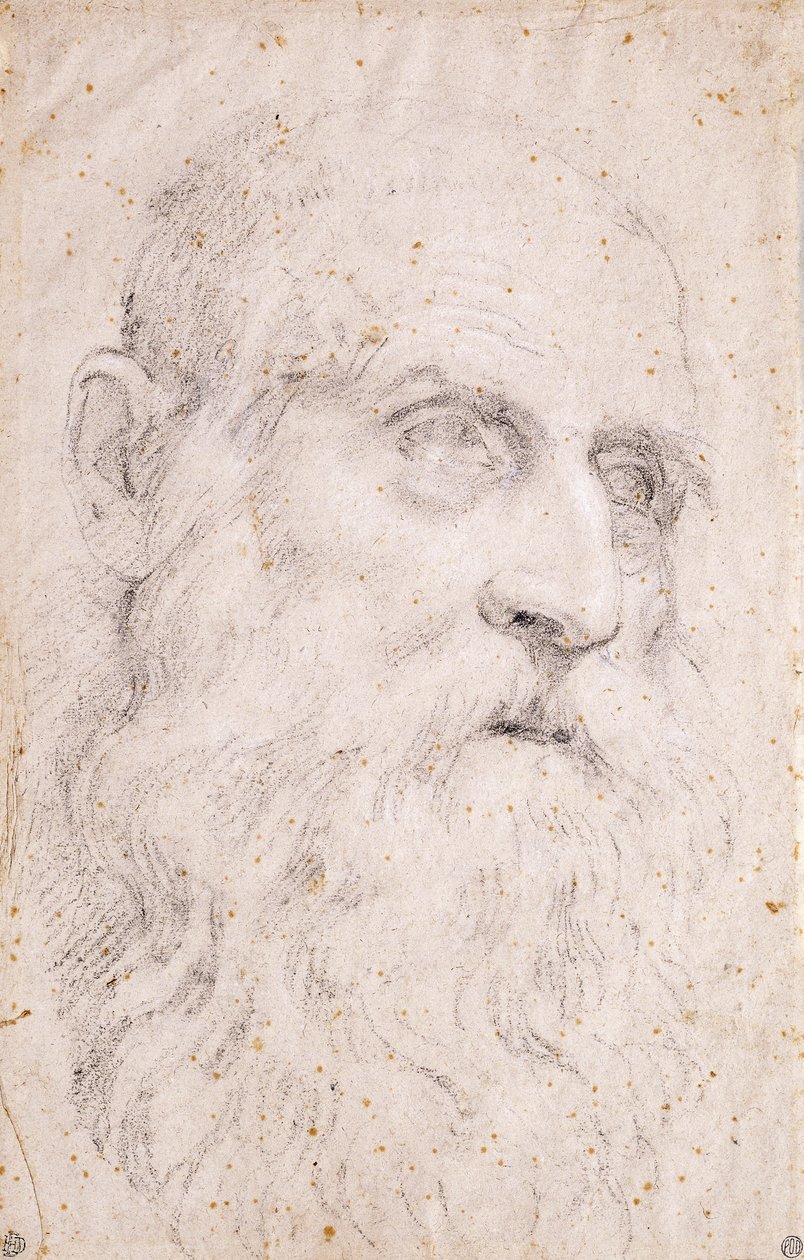 Huvudet av Saint Hieronymus av Domenichino