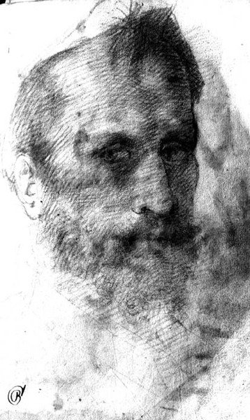 Skäggig man (röd krita) av Domenico Beccafumi