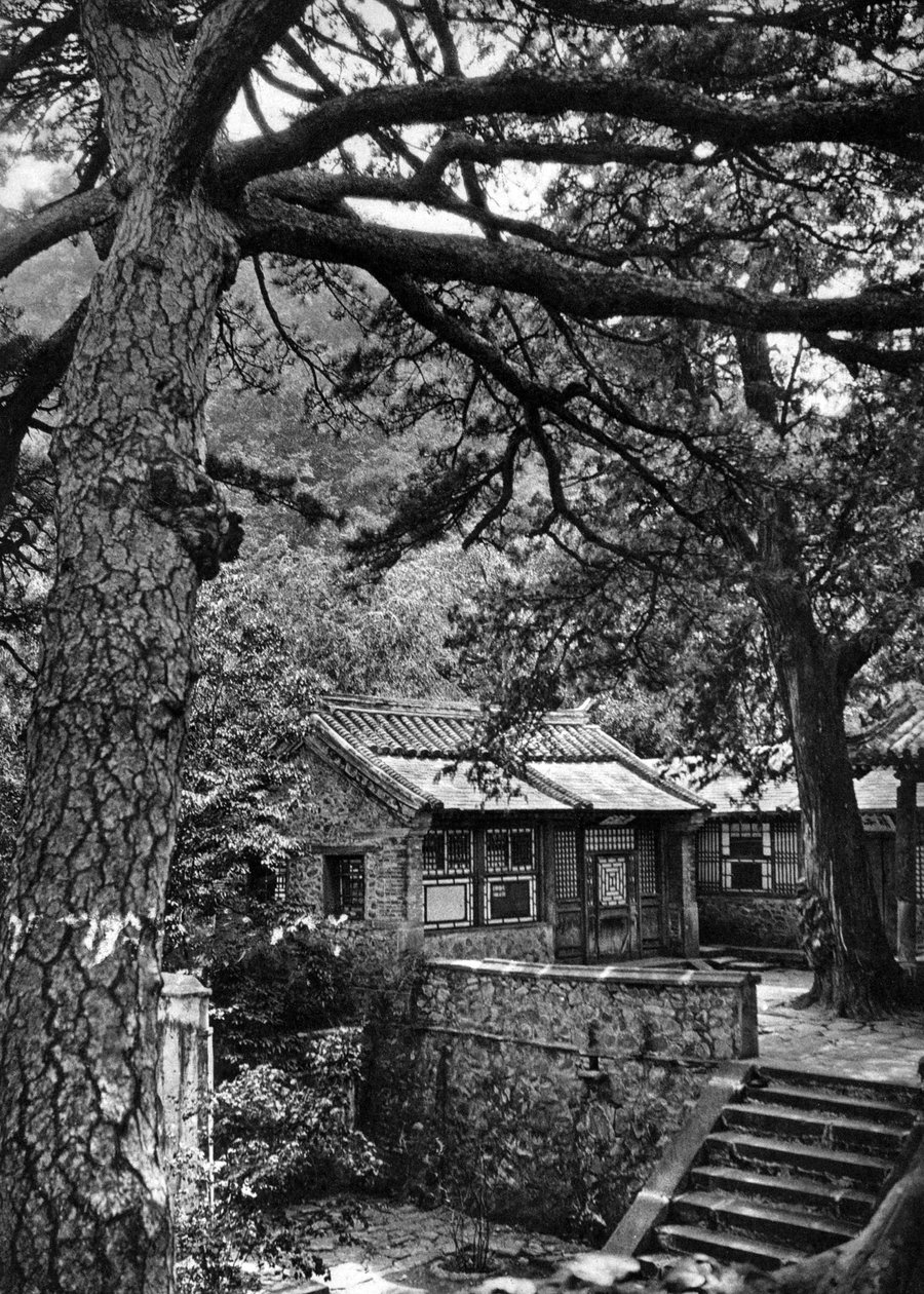 Western Hills, Haidan District, Peking av Donald Mennie