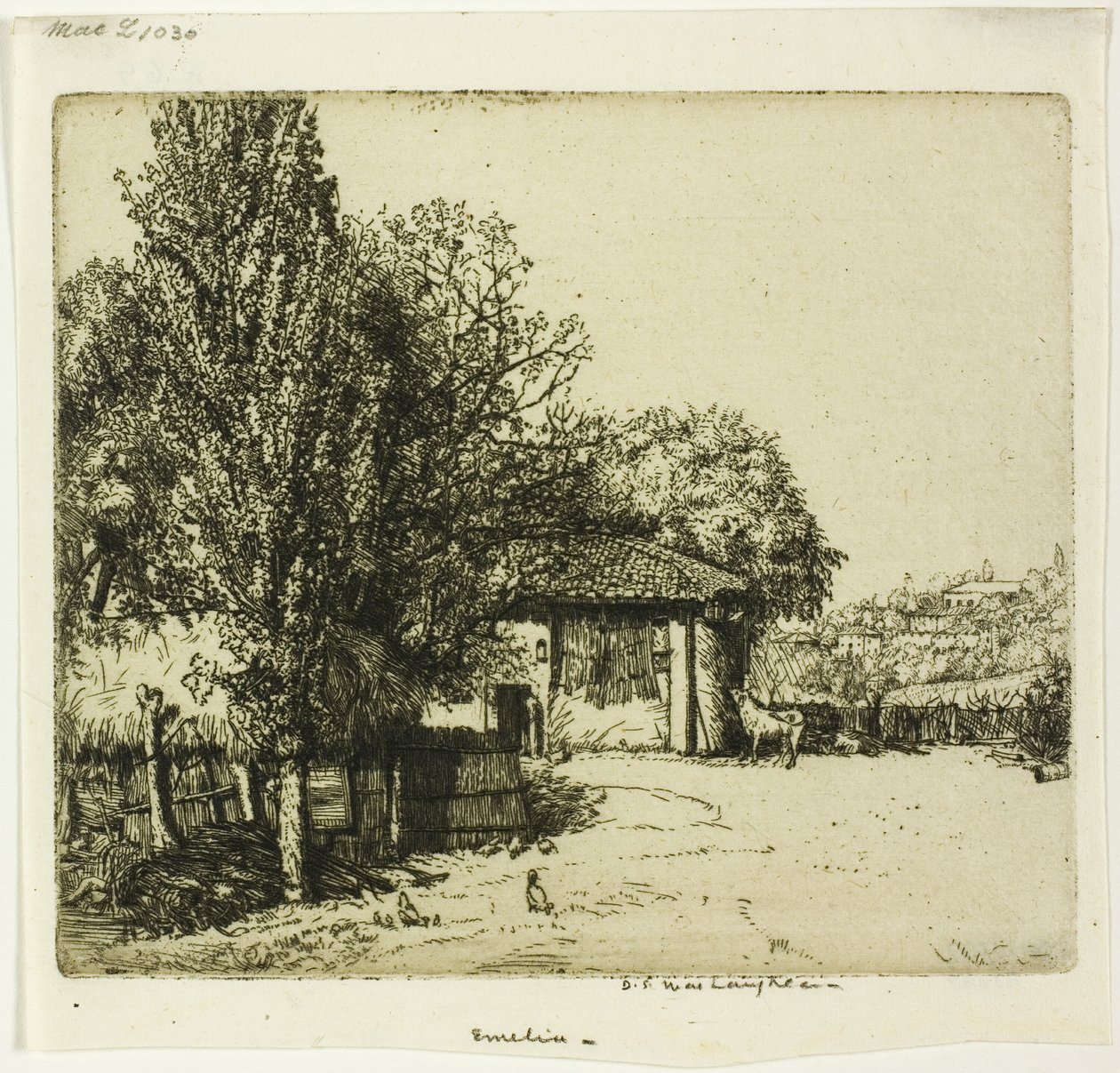 Emelia, Italien av Donald Shaw MacLaughlan