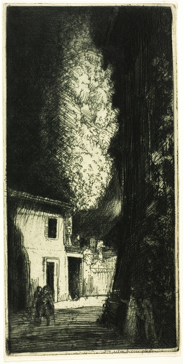 Det hemsökta huset av Donald Shaw MacLaughlan