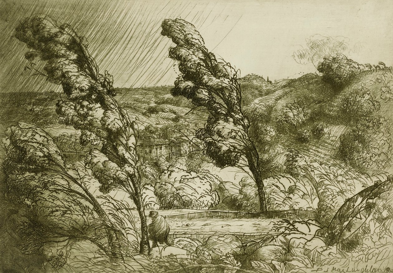 Stormen av Donald Shaw MacLaughlan