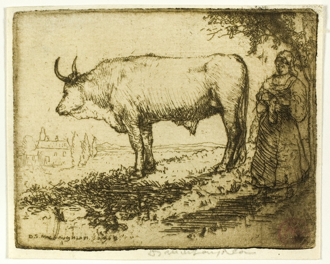 Den vita oxen av Donald Shaw MacLaughlan