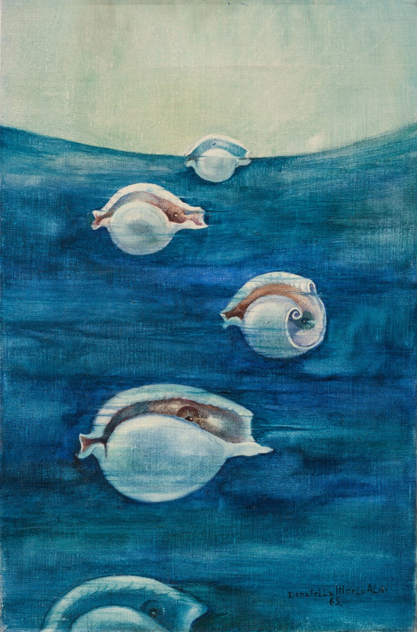 Migration av Donatella Merlo