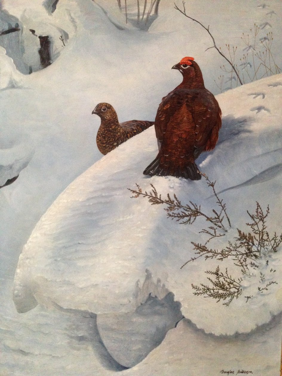 Ripa i snö, ca 1985 (olja på duk) av Douglas Anderson