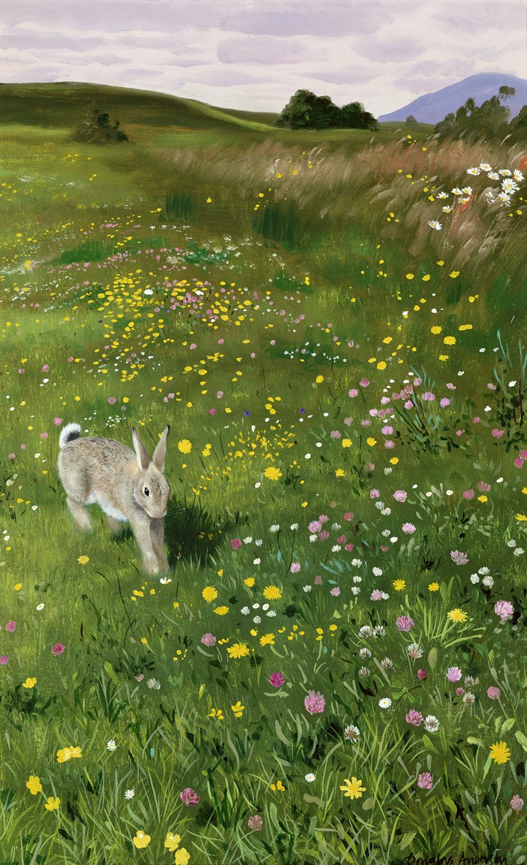 Hare i vårblommor av Douglas Anderson
