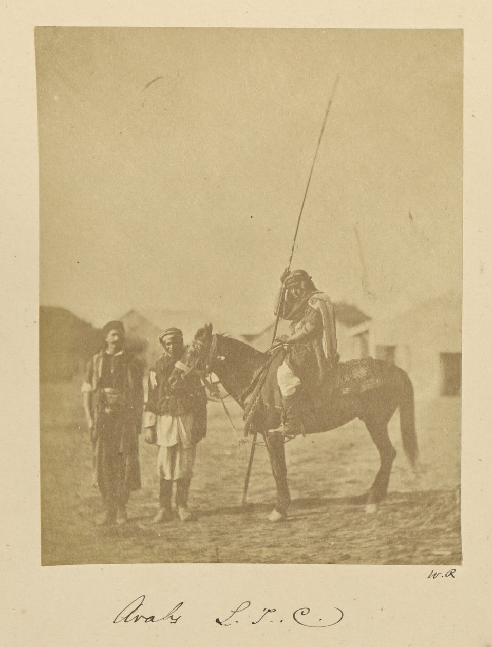 Araber. L.T.C. av Dr. William Robertson