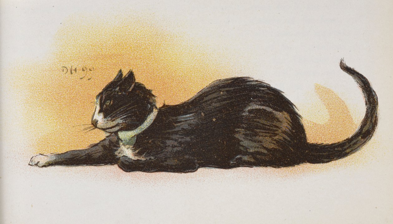 En katt. av Dudley Hardy