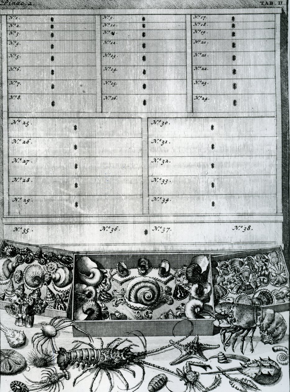 Tabel II fra 
