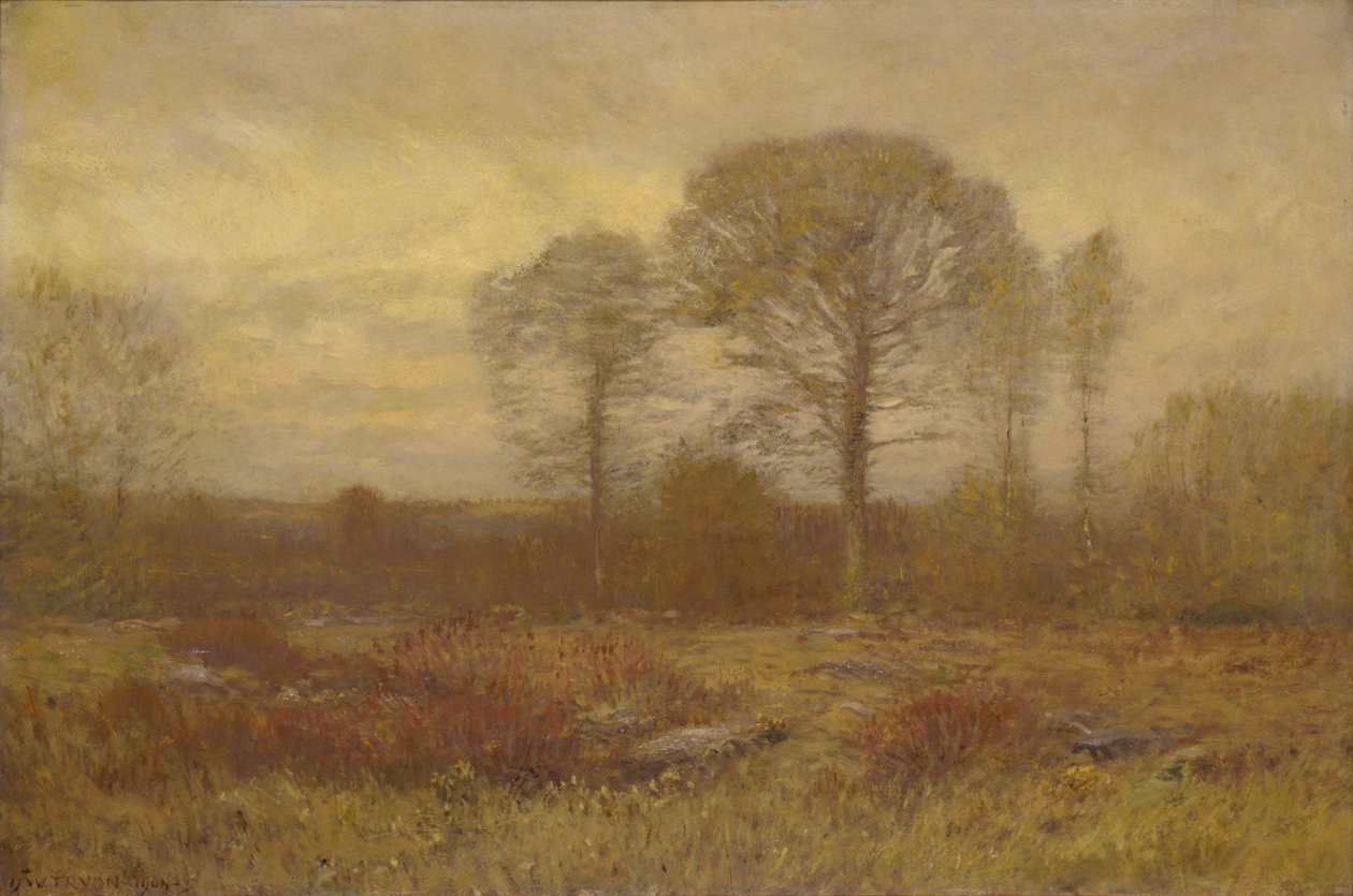 november 1904-1905. av Dwight William Tryon