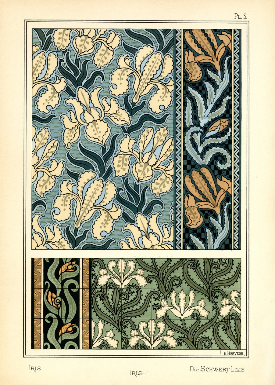 Iris av E. Hervegh