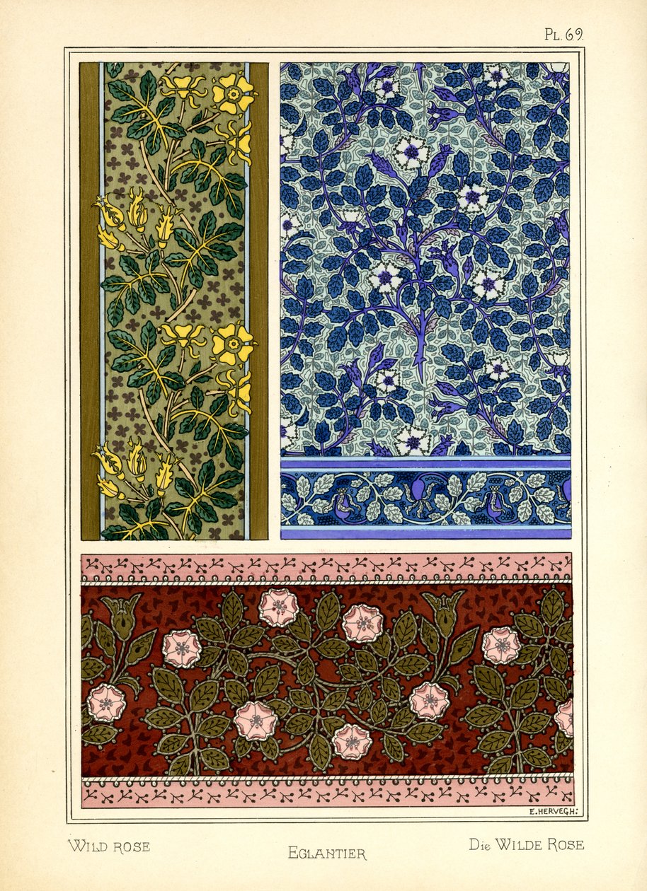 Den vilda rosen av E. Hervegh