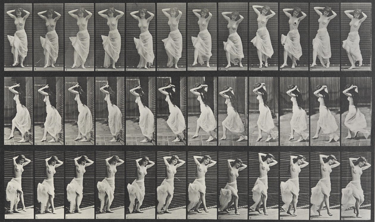 Animal Locomotion Plate 190 av Eadweard Muybridge