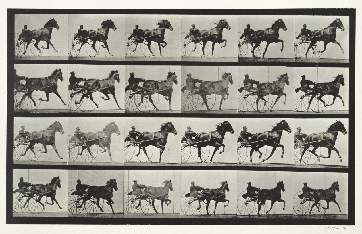 Vagnkörning, platta 613 från "Animal Locomotion", 1887. av Eadweard Muybridge