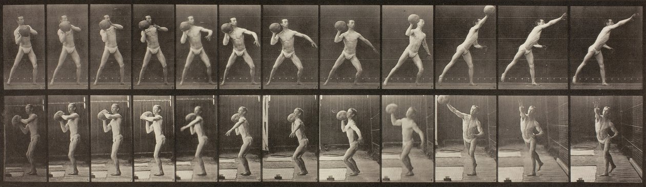 Djurens rörelse, skylt 319, 1887. av Eadweard Muybridge