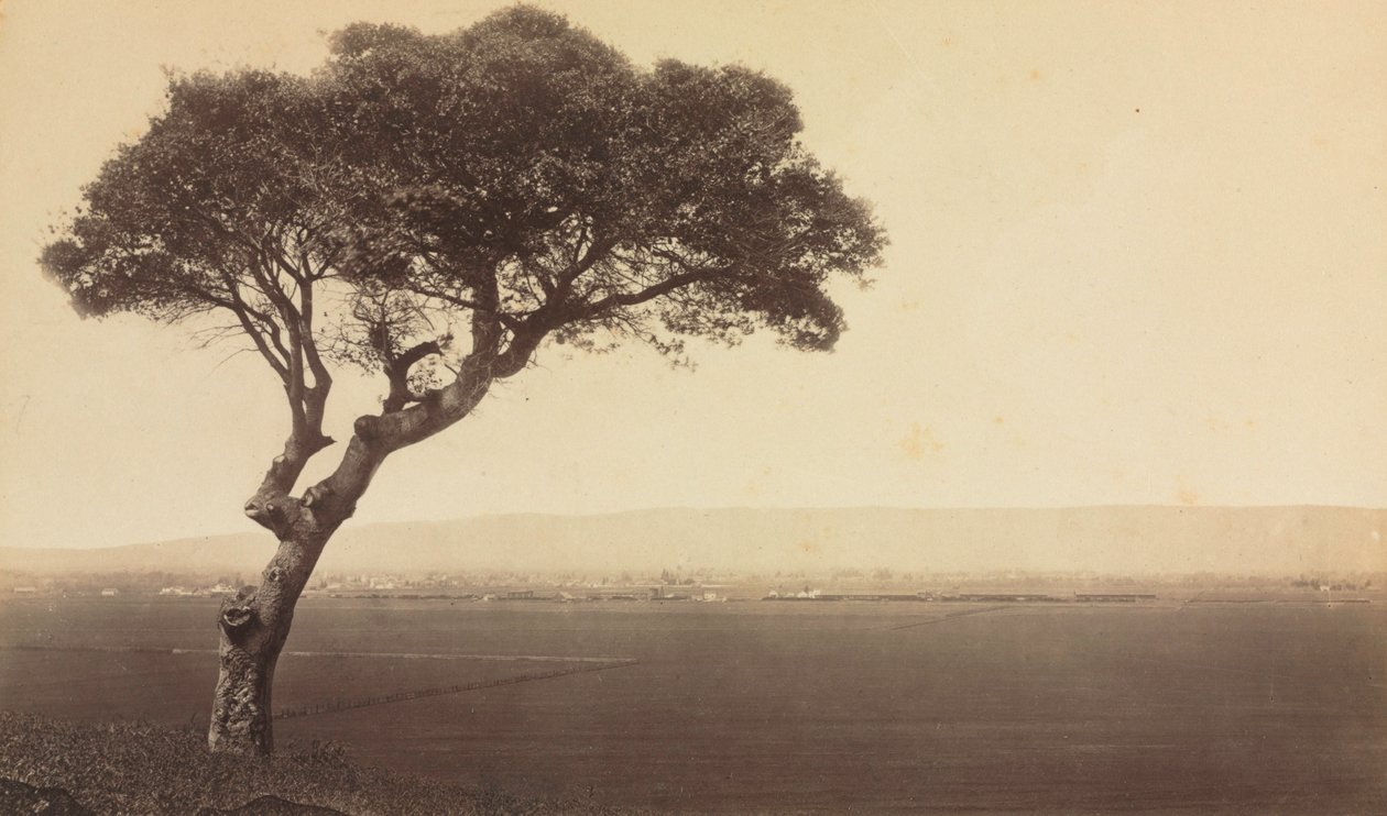 Utan titel (Landskap nära Watsonville, Kalifornien) av Eadweard J. Muybridge