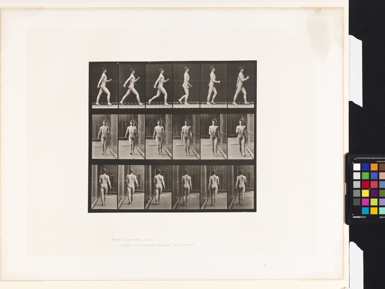 Tavla 10.Gå av Eadweard Muybridge