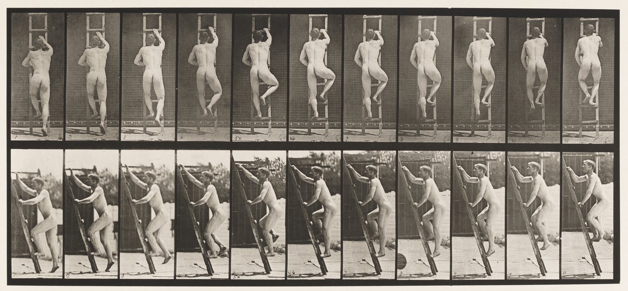 Plåt 111. Stigande stege av Eadweard Muybridge