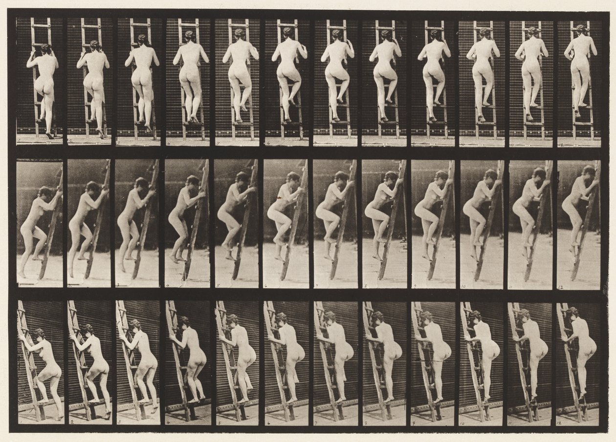 Tavla 112. Stigande stege av Eadweard Muybridge