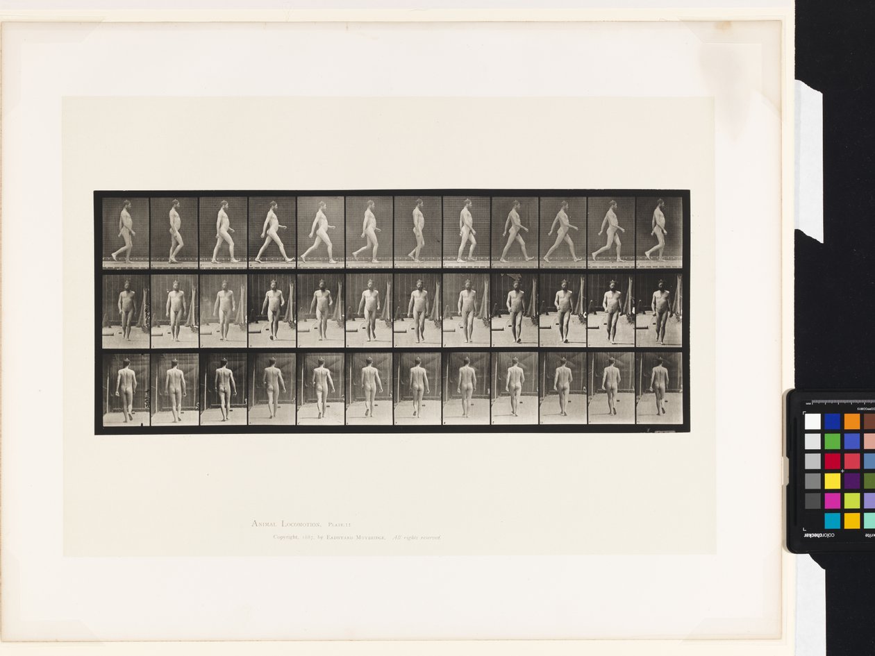Plåt 11.Gå av Eadweard Muybridge