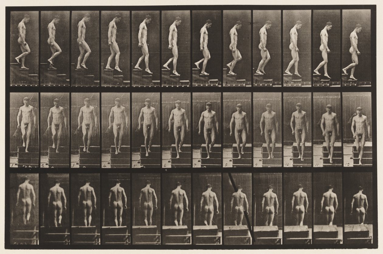 Tavla 125. Nedgående trappa av Eadweard Muybridge