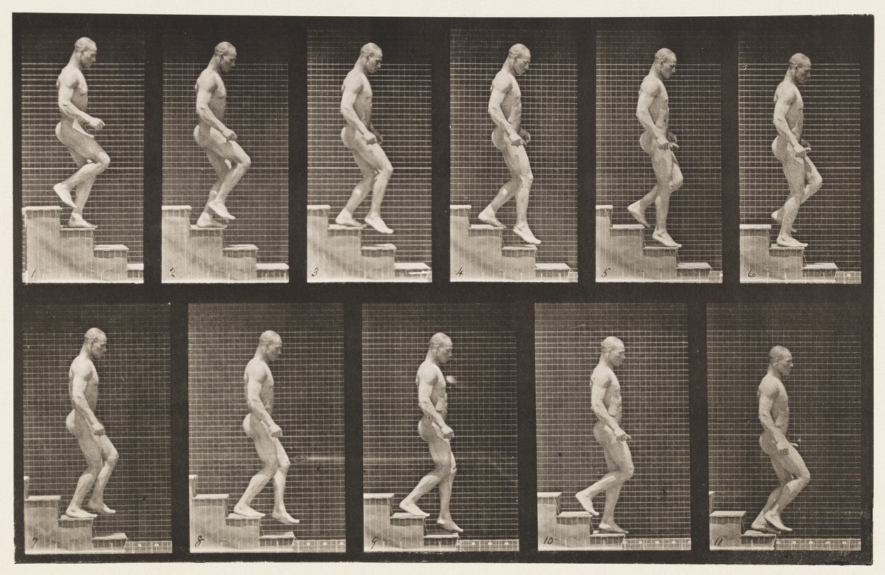 Tavla 126. Nedgående trappa av Eadweard Muybridge
