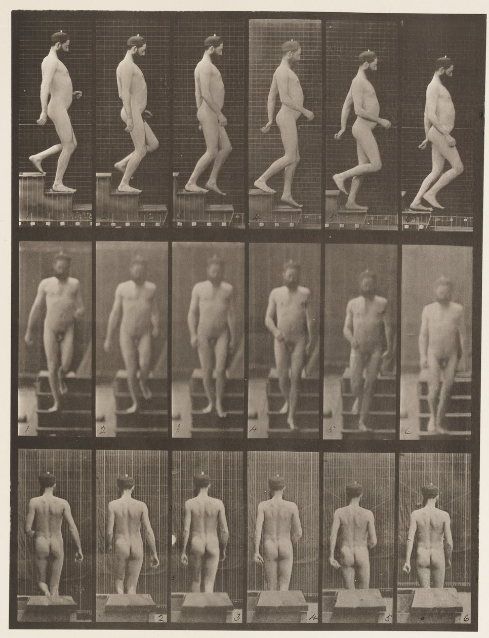 Tavla 127. Nedstigande trappor, 1872-1885 av Eadweard Muybridge