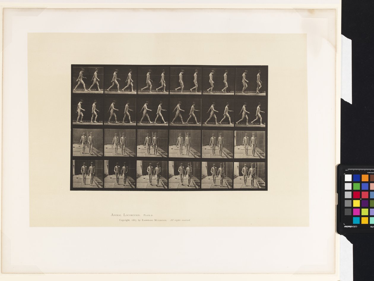 Plåt 12.Gå av Eadweard Muybridge
