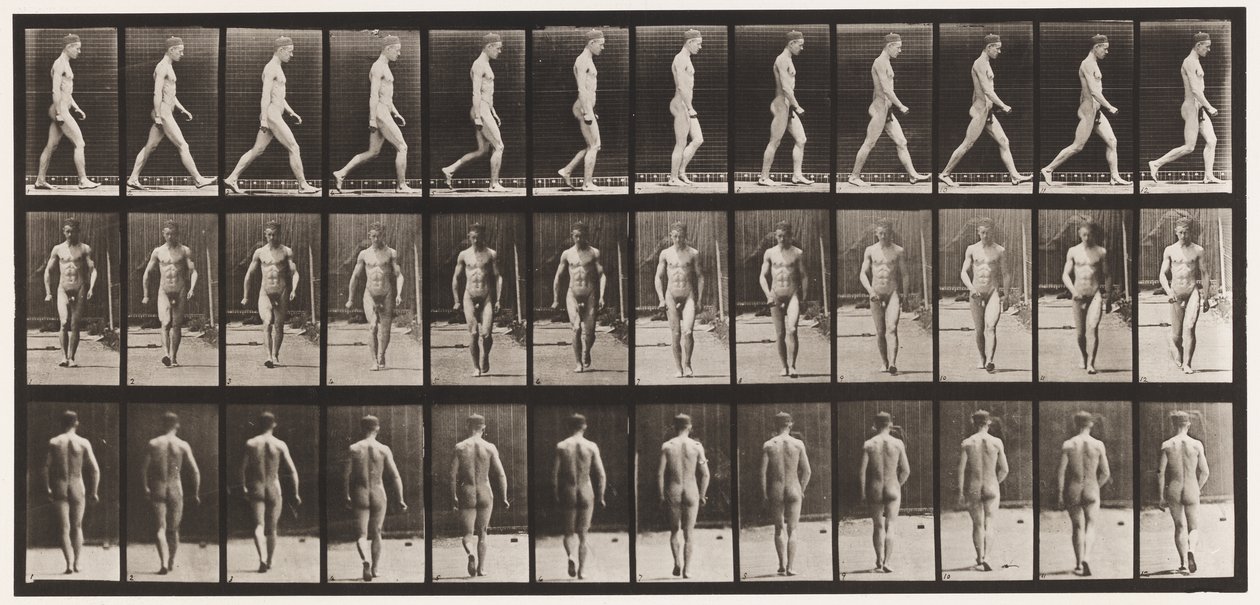 Plåt 1. Gå av Eadweard Muybridge