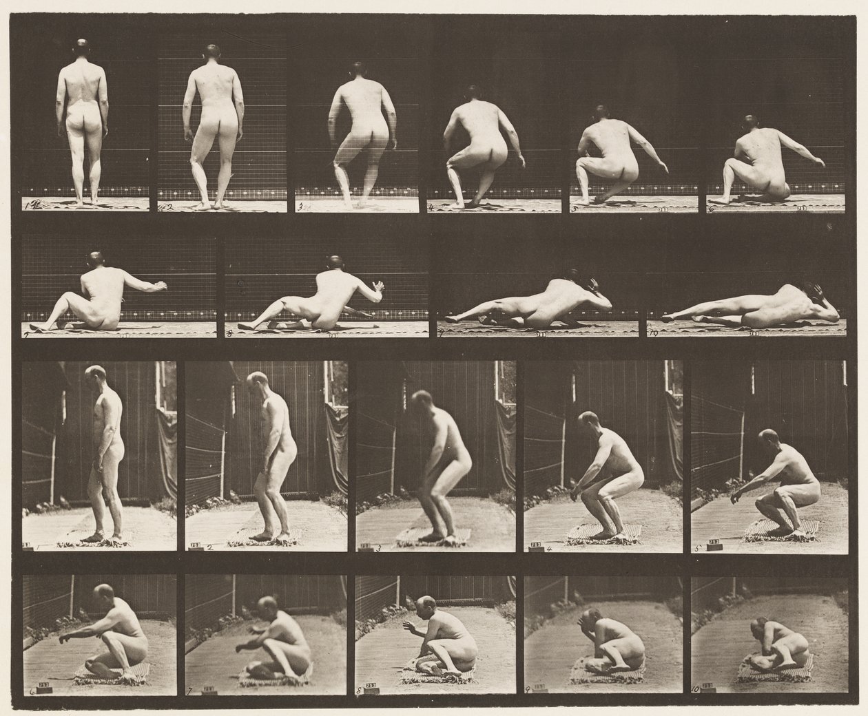 Plåt 257. Liggande på marken, 1885 av Eadweard Muybridge