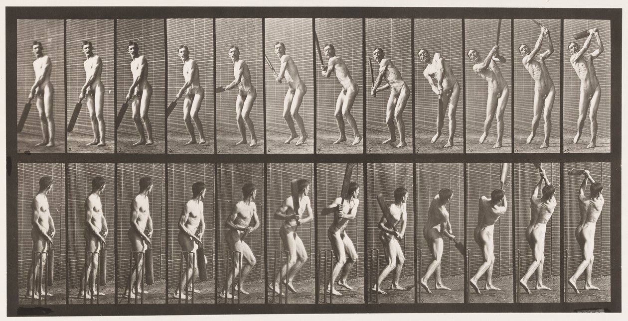 Tallrik 291.Cricket; Vadd; Drive, 1885 av Eadweard Muybridge