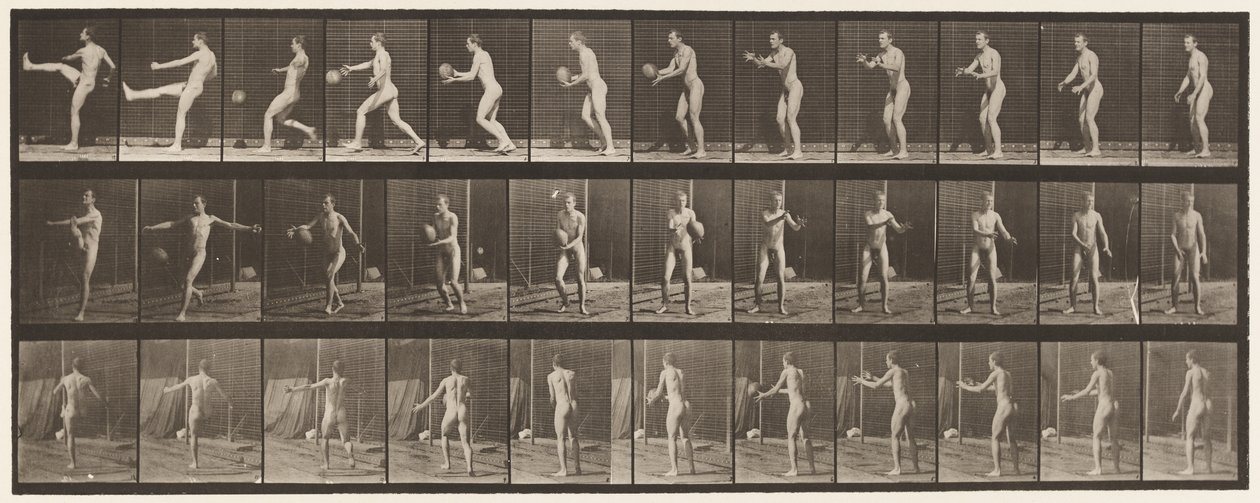 Tallrik 301. Fotboll; Punt, 1885 av Eadweard Muybridge