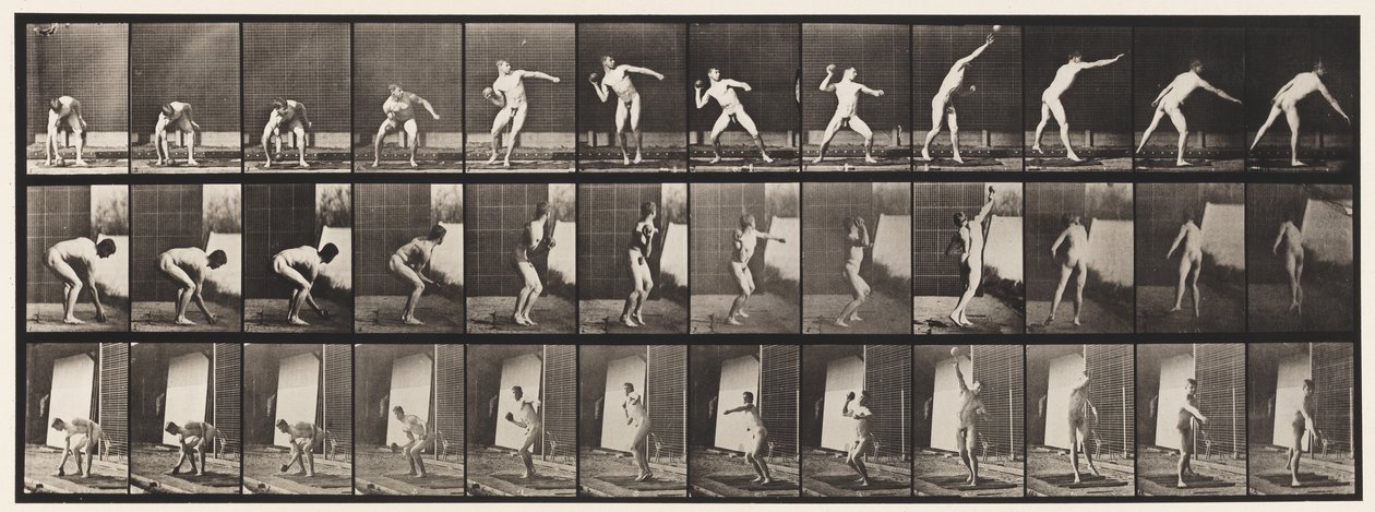 Plåt 310. Putting the Shot, 1885 av Eadweard Muybridge
