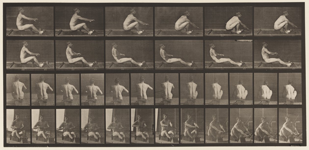 Plåt 328. Rodd av Eadweard Muybridge
