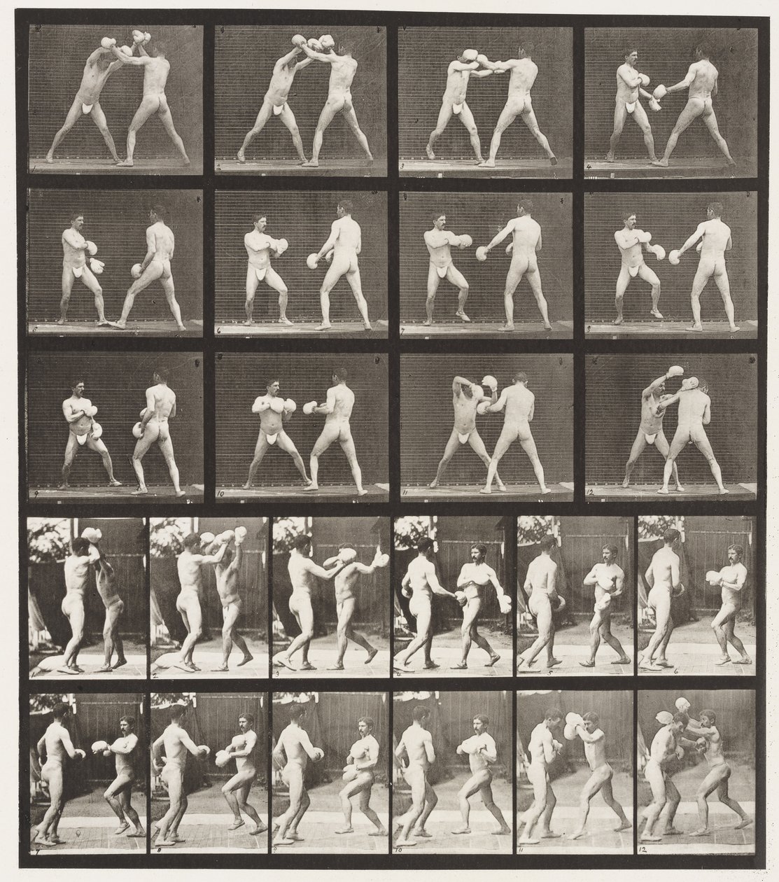 Tallrik 334. Boxning; Med handskar (skor) av Eadweard Muybridge