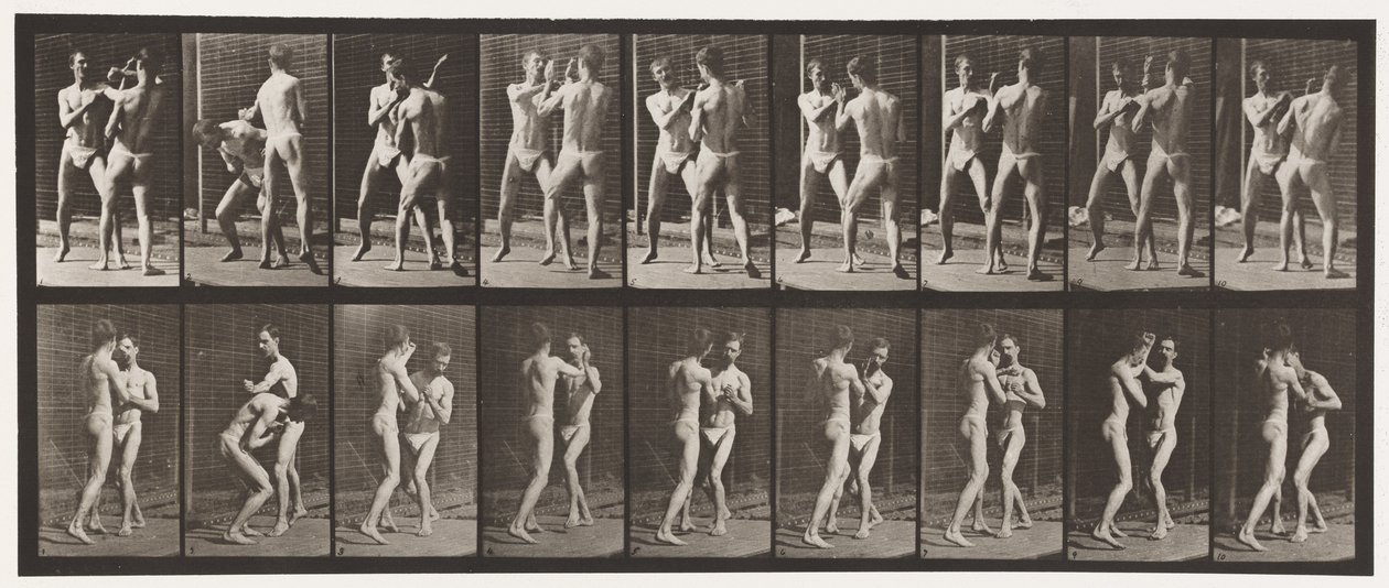 Tallrik 337. Boxning; Öppen hand av Eadweard Muybridge