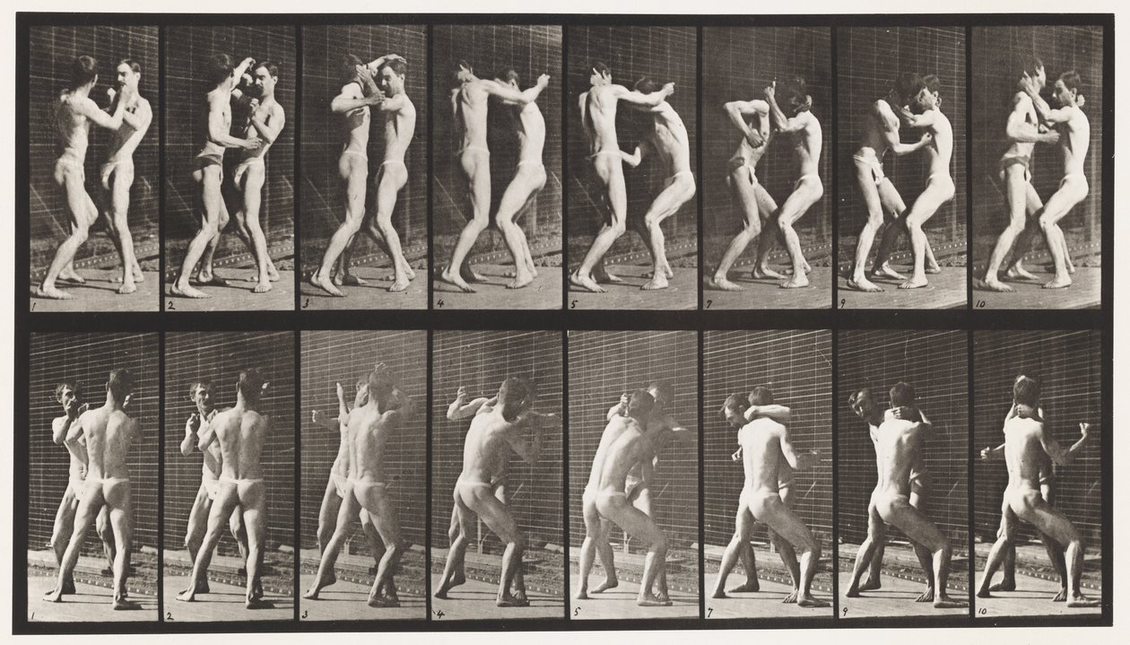 Tallrik 341. Boxning; Öppen hand av Eadweard Muybridge