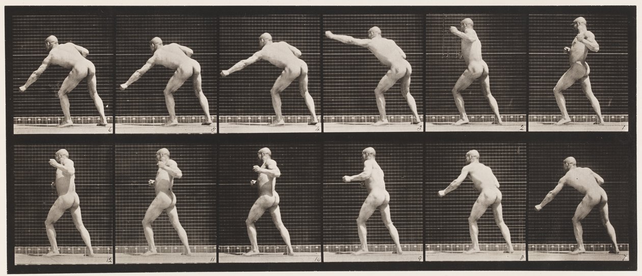 Plåt 343. Slå ett slag (vänster hand) av Eadweard Muybridge