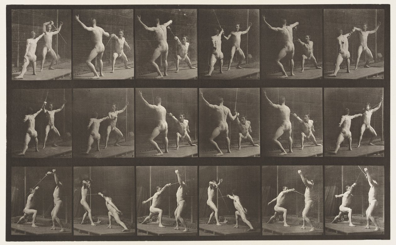 Plåt 350. Fäktning av Eadweard Muybridge