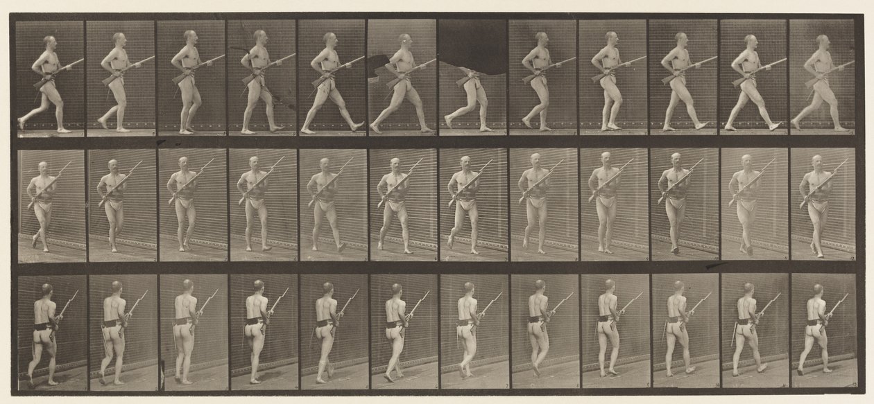 Plåt 359. Laddbajonett, 1872-1885 av Eadweard Muybridge