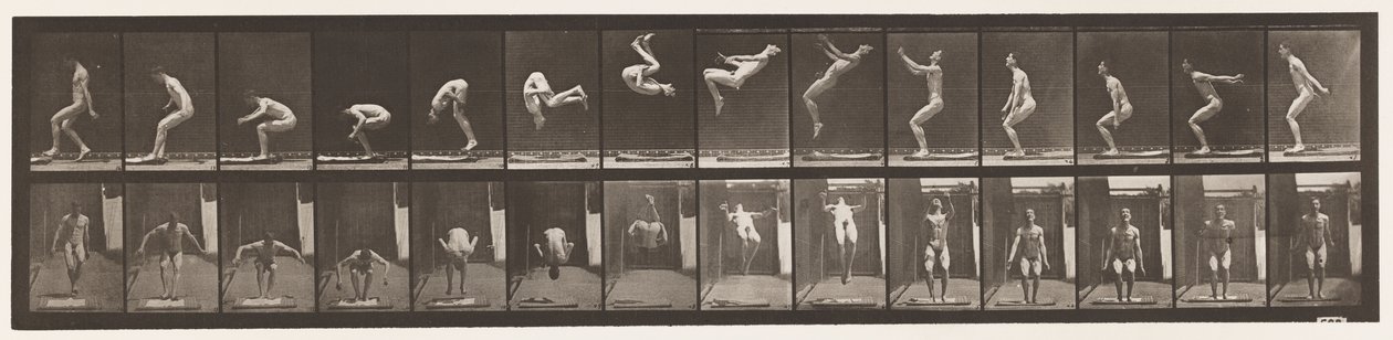 Plåt 362. Ryggvolta av Eadweard Muybridge