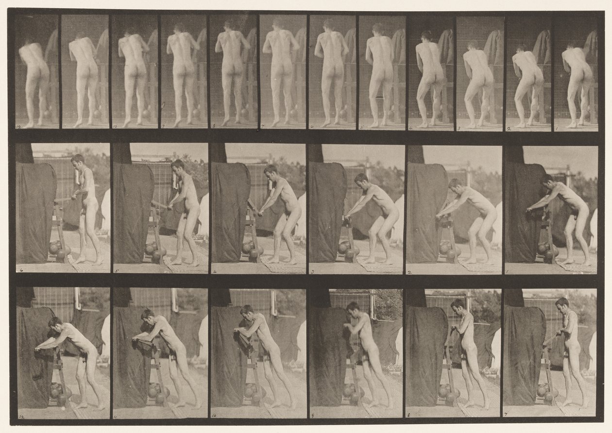 Plåt 394. Vridning av ett vev av Eadweard Muybridge