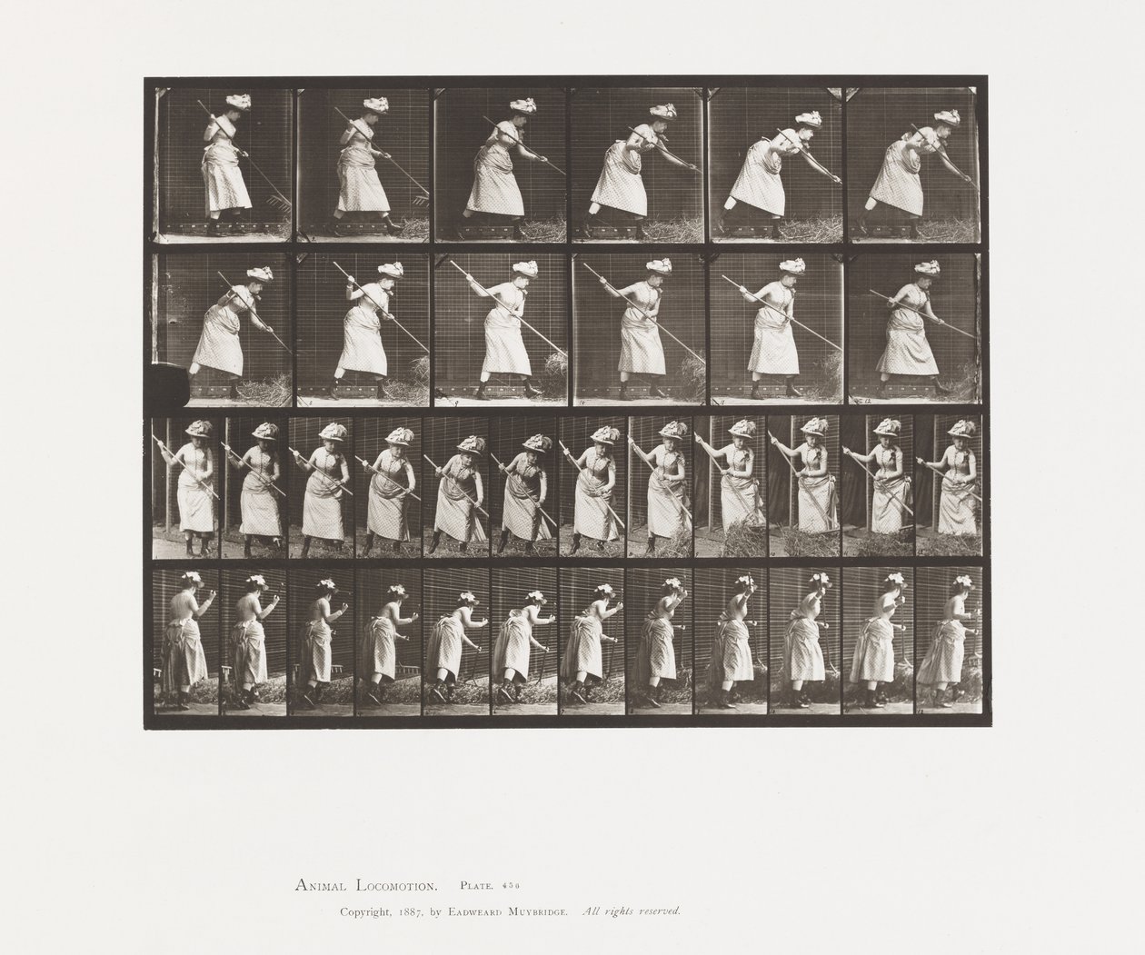Plåt 456. Rankingen är 165 av Eadweard Muybridge