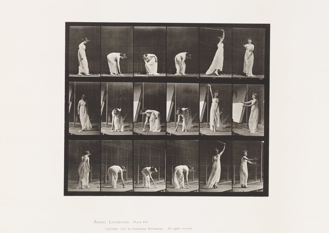 Plåt 503. Övrigt - Böjning m.m av Eadweard Muybridge