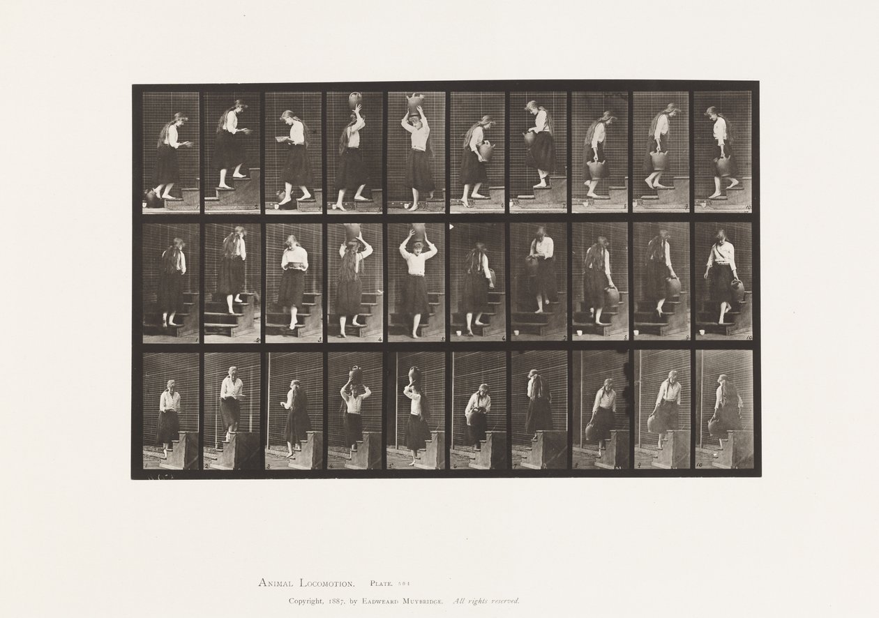 Tavla 504. Upp- och nedstigande trappor av Eadweard Muybridge