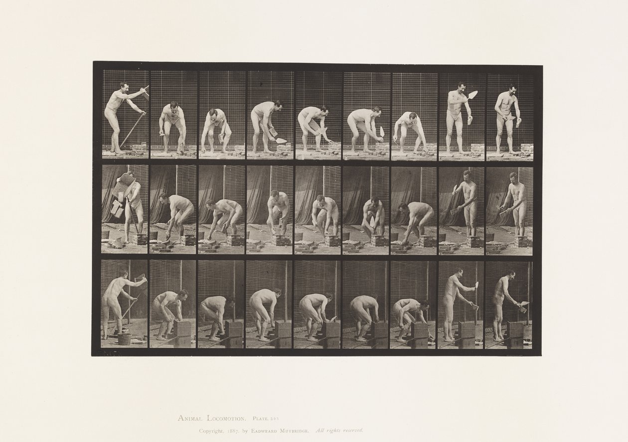Plåt 505. Murning av Eadweard Muybridge