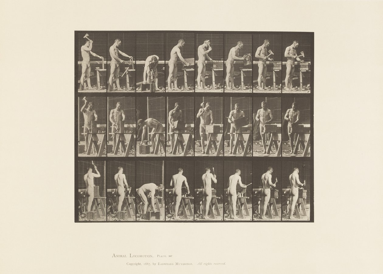 Plåt 507. Snickeri av Eadweard Muybridge